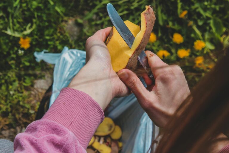 Practical Ways to Reduce Food Waste at Home